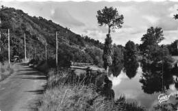 CPSM Pont D'ouilly-L'orne Et La Route De Pont Des Vers-Timbre       L2793 - Pont D'Ouilly