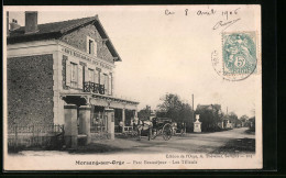CPA Morsang-sur-Orge, Parc Beauséjour, Les Tilleuls  - Morsang Sur Orge