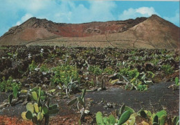 106900 - Spanien - Lanzarote - Crater De La Corona - Ca. 1985 - Lanzarote