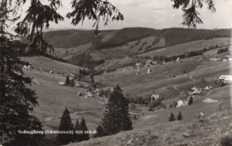 124214 - Todtnauberg (OT Von Todtnau) - Ansicht - Todtnau