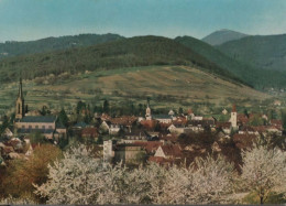 42374 - Müllheim - Belchenblick - 1985 - Müllheim