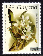 GUYANA - 1988 REICHENBACHIA ORCHIDS 120 ON 50 OVERPRINT PLATE 13 SERIES 2 FINE MNH ** SG 2385 - Guyana (1966-...)