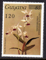 GUYANA - 1988 REICHENBACHIA ORCHIDS 120 ON 85 OVERPRINT PLATE 24 SERIES 2 FINE MNH ** SG 2418 - Guyane (1966-...)