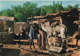 CPSM Tchad-Fort Lamy-Moulin à Huile-Beau Timbre     L2794 - Chad