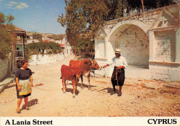 CPSM Cyprus-A Lania Street-Beau Timbre     L2794 - Chipre