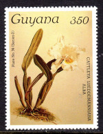 GUYANA - 1988 SANDERS REICHENBACHIA ORCHID FLOWERS 31st ISSUE FINE MNH ** SG 2328 - Guyane (1966-...)