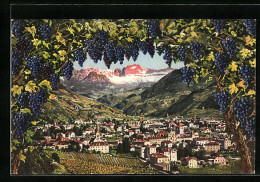 Cartolina Bolzano-Gris, Panorama  - Bolzano (Bozen)