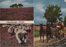 65970 - Lüneburger Heide - Mit Der Postkutsche - 1963 - Lüneburger Heide