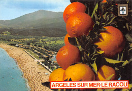66 ARGELES PLAGE LE RACOU - Argeles Sur Mer