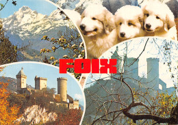 9 FOIX - Foix