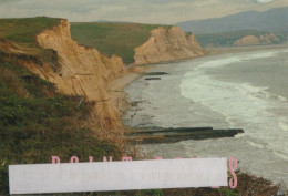 45122 - USA - Point Reyes - 2004 - Altri