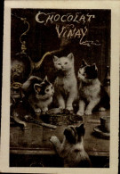 CHROMO...CHOCOLAT VINAY...CHATONS...DOS VIERGE - Altri & Non Classificati