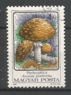 Hungary 1986 Mushrooms Y.T. 3084 (0) - Used Stamps