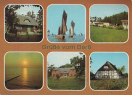 48338 - Darss - U.a. Born, Jugendherberge - 1986 - Fischland/Darss