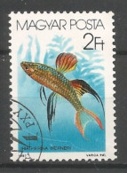 Hungary 1987 Fish Y.T. 3087 (0) - Usati