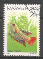 Hungary 1987 Fish Y.T. 3089 (0) - Oblitérés