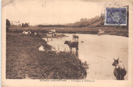 TH-SCENES CHAMPETRES TROUPEAU A L ABREUVOIR-N°T2923-E/0353 - Farmers