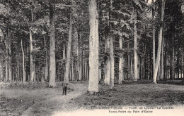 27-LYONS LA FORET-N°3868-C/0083 - Lyons-la-Forêt