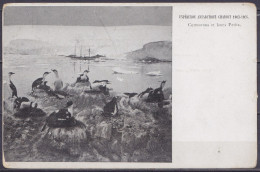 Carte Postale CP Expédition Antarctique Charcot 1903-1905 / Cormorans Et Leurs Petits - Non Circulée // Tad604 - Lettres & Documents