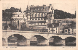 37-AMBOISE-N°T2929-D/0311 - Amboise