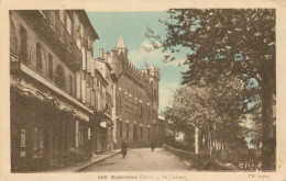 81)   RABASTENS  -  Le Château - Rabastens