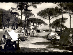 83 - ST-AYGULF - LE CAMPING - Saint-Aygulf