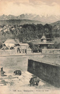 SUISSE - Bern - Barengraben - Fosse Aux Ours - Animé - Vue D'ensemble Du Fosse Aux Ours - Carte Postale Ancienne - Berna