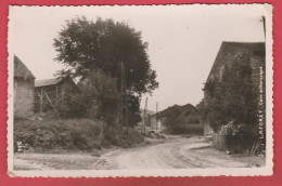 Laforêt - Coin Pittoresque / MOSA - 1952 ( Voir Verso ) - Vresse-sur-Semois