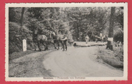 Amonines - Promenade Vers Dochamps ...chevaux De Traits , Débardeurs - 1958 ( Voir Verso ) - Erezée