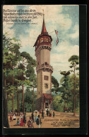 Lithographie Nürnberg, Nürnberger Aussichtsturm Auf Der Gritz  - Nuernberg