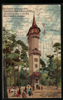 Lithographie Nürnberg, Nürnberger Aussichtsturm Auf Der Gritz  - Nuernberg