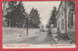 Gerpinnes - La Rue Du Mont - 1909 ( Voir Verso ) - Gerpinnes