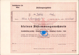 Kleinen Abstammungsnachweis A2404N - Diplomi E Pagelle