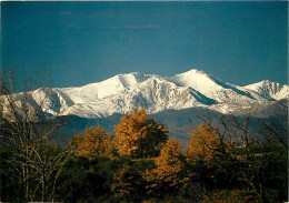 66 - Pyrénées Orientales - Le Massif Du Canigou - CPM - Voir Scans Recto-Verso - Otros & Sin Clasificación