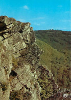 61 - La Roche D'Oëtre - Le Profil Humain - Curiosité Géologique - Carte Neuve - CPM - Voir Scans Recto-Verso - Other & Unclassified