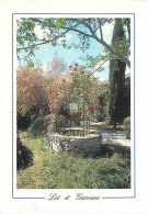 47 - Lot Et Garonne - Puit - Fleurs - CPM - Voir Scans Recto-Verso - Otros & Sin Clasificación