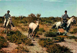 Animaux - Chevaux - Camargue - Sous Un Soleil Ardent, En Pleincœur De La Camargue, à La Poursuite Des Chevaux Sauvages - - Pferde