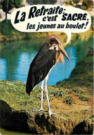 Animaux - Oiseaux - Héron - Animaux Humoristiques - Le Marabout - CPM - Voir Scans Recto-Verso - Oiseaux