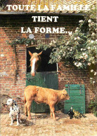 Animaux - Vaches - Carte à Message Humoristique - Chiens - Chevaux - Chevaux - CPM - Voir Scans Recto-Verso - Mucche