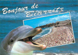 Animaux - Dauphin - Dolphin - Biarritz - CPM - Voir Scans Recto-Verso - Delfini