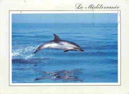 Animaux - Dauphin - Dolphin - CPM - Voir Scans Recto-Verso - Dolphins