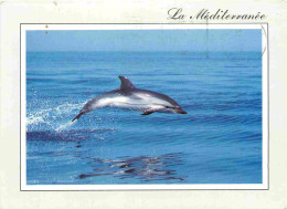 Animaux - Dauphin - Dolphin - CPM - Voir Scans Recto-Verso - Delfini