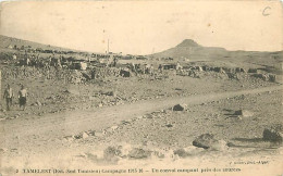 Tunisie - Tamelest - Campagne 1915 16 - Un Convoi Campant Près Des Sources - Animée - Militaria - CPA - Oblitération Ron - Tunesië