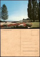 Ansichtskarte Kreuzlingen Panorama-Ansicht Seepark See Blick Park 1960 - Sonstige & Ohne Zuordnung