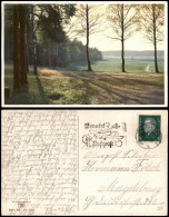 Ansichtskarte  Stimmungsbilder: Natur Am Waldesrand Morgenstimmung 1929 - Unclassified