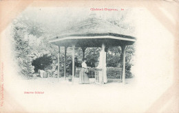 FRANCE - Châtel Guyon - Source Gubler - Carte Postale Ancienne - Châtel-Guyon