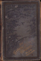 Durch Die Jahrhunderte Von Carmen Sylva 1887 Bonn 689SPN - Libros Antiguos Y De Colección