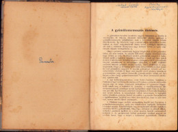 A Gyümölcstermesztés Kézikönyve Irta Mohácsy Mátyás 1936 687SPN - Old Books