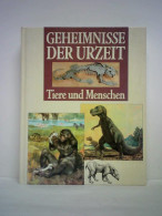 Geheimnisse Der Urzeit. Amphibien Und Riesensaurier Von Andreose, Mario (Hrsg.) - Non Classés