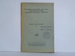 Die Bildung Des Erdöls Und Seiner Lagerstätten Im Lichte Migrationsverneinender Tatsachen Von Zuber, Stanislaw (Polen) - Ohne Zuordnung